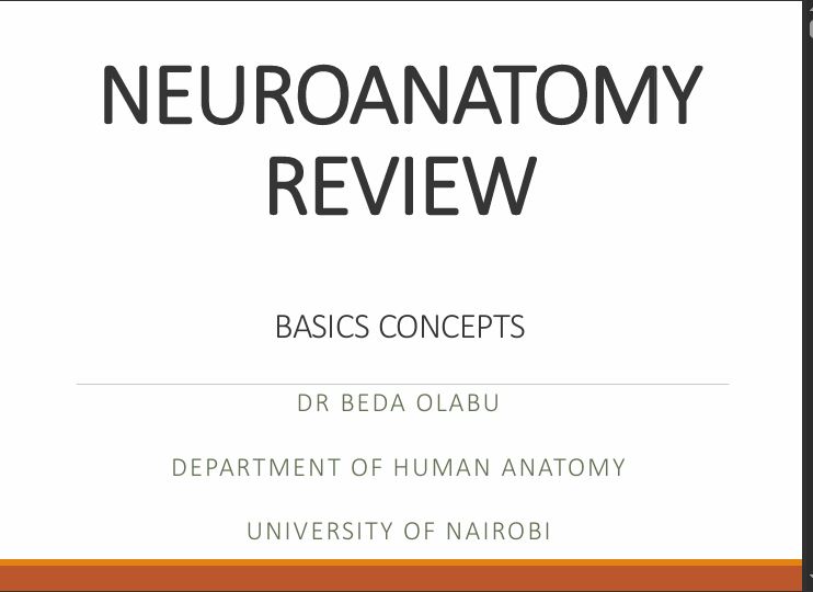 No preview available